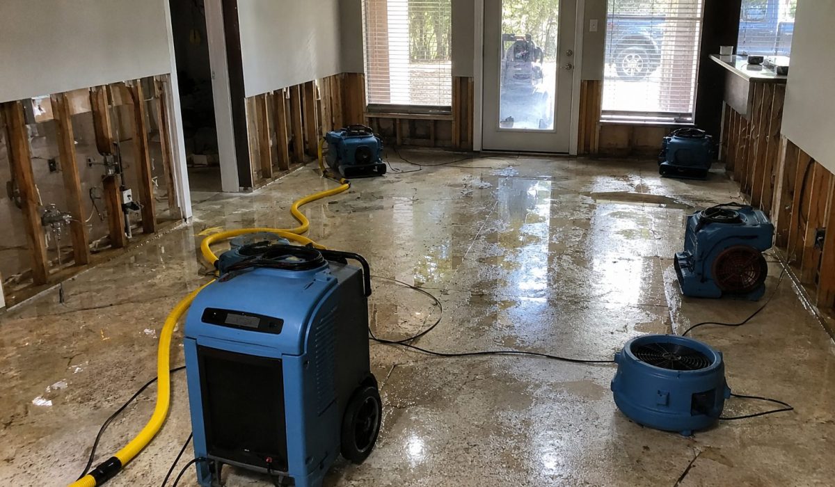 Logement en cours d’assèchement après une désinfection après sinistre avec déshumidificateurs, ventilateurs professionnels et murs partiellement ouverts.