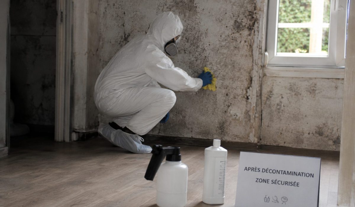 Technicien en combinaison de protection désinfectant un mur contaminé après un sinistre dans un logement